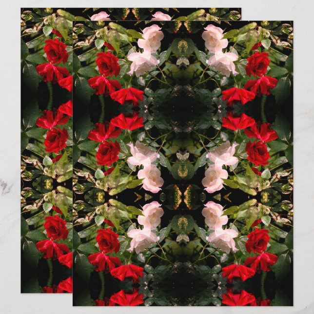 Livro Branco E Rosas Enrochados (Frente/Verso)