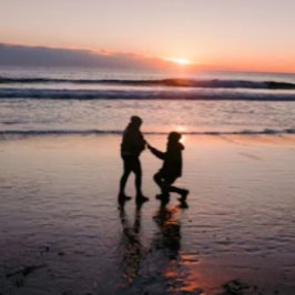 Livro Convidado de Casamento de Proposta de Praia