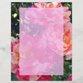 Livro de Arte do Jardim das Rosas Rosa e Branca