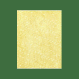 Livro de Manchas do Dia de Verão do Windy