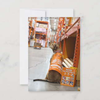 Livro de Melhoramento Doméstico Cartão com fotos E