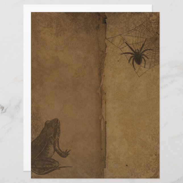 Livro de Sapos Gótico Vitoriano do Halloween (Frente/Verso)
