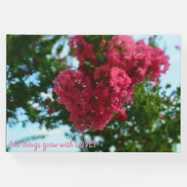 Livro de Visitas (Frente)