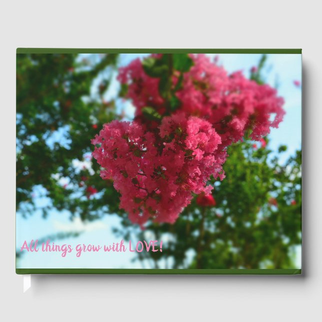 Livro de Visitas (Frente)