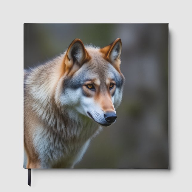 Livro de visitas (Frente)