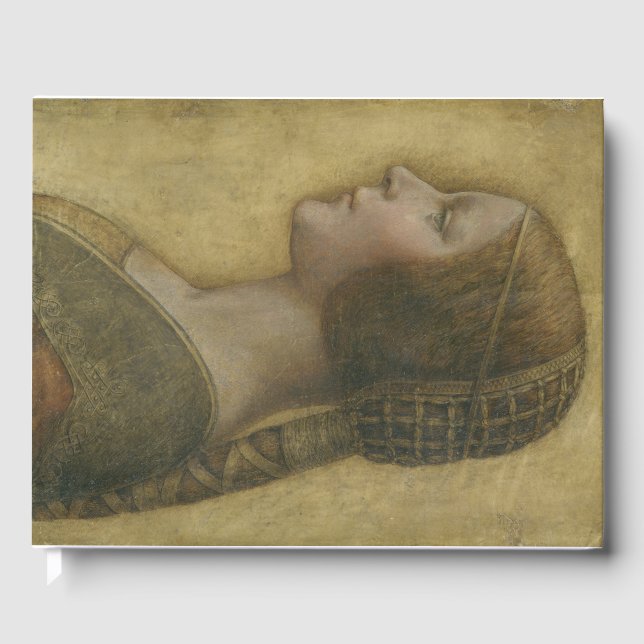 Livro De Visitas A bela princesa (por Leonardo da Vinci) (Frente)