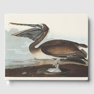 Livro De Visitas Arte Costeira de Pássaros do Pelicano Marrom Audub