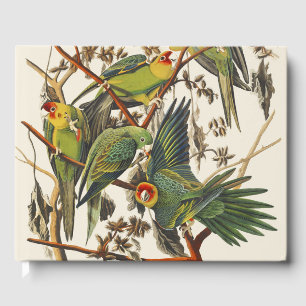 Livro De Visitas Arte de Pássaro do Periquito-da-Carolina de Audubo