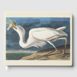 Livro De Visitas Arte de Pássaro Garça Branca Grande Vintage Audubo