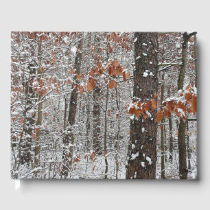Livro De Visitas Árvores de carvalho cobertas por neve Fotografia
