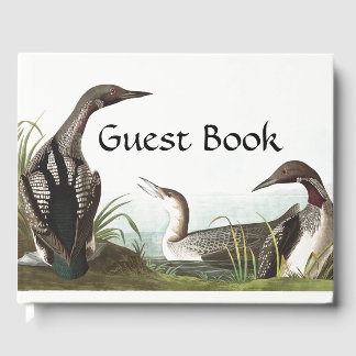Livro De Visitas Audubon Loon Diver Birds Wildlife Guest Book