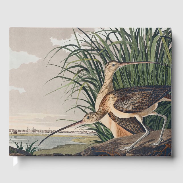 Livro De Visitas Ave-do-relvado-de-bico-longo-Audubon (Frente)