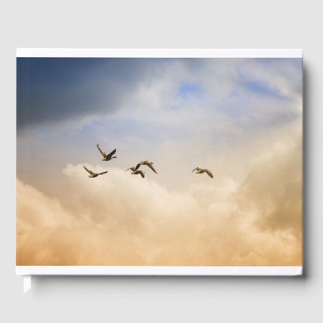 Livro De Visitas Bando de Aves em Voo (Frente)