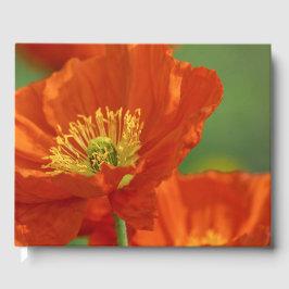 Livro De Visitas Belo papa vermelho