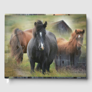 Livro De Visitas Belos Cavalos e Barão Russo