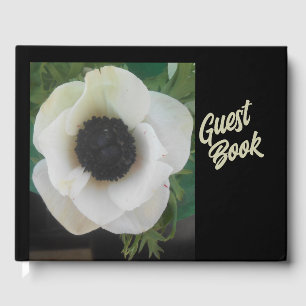 Livro De Visitas Blanchard