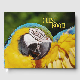 Livro De Visitas Cabeça de arara azul e amarela
