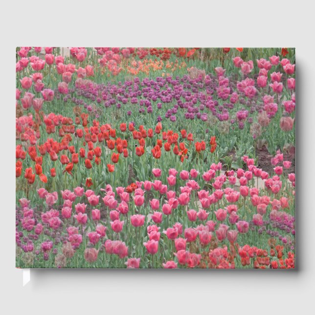 Livro De Visitas Campo De Tulipas (Frente)