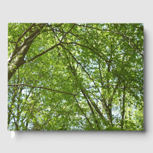 Livro De Visitas Canopia de Primavera deixa cena ecológica