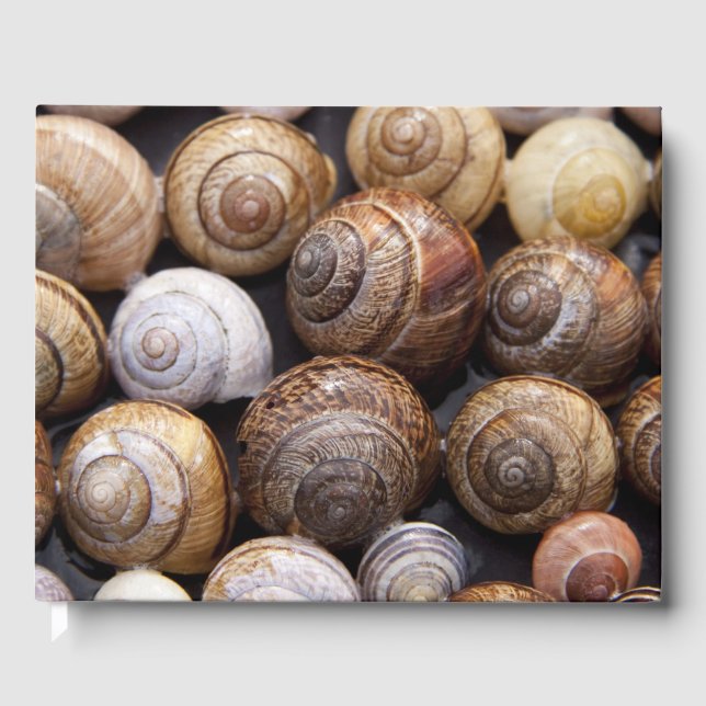 Livro De Visitas Caracóis (Frente)