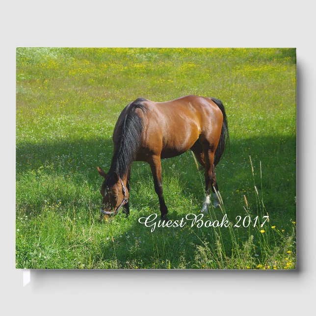 Livro De Visitas Cavalo #1 (Frente)