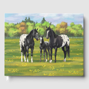 Livro De Visitas Cavalos Pretos De Appaloosa Em Pasto De Verão