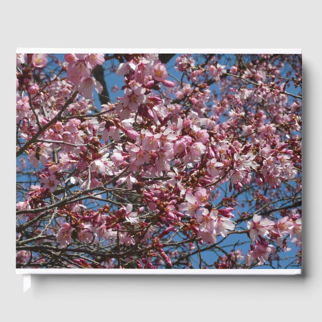 Livro De Visitas Cherry Blossoms e Blue Sky Primavera Floral (Frente)