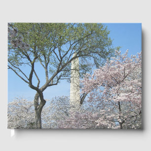 Livro De Visitas Cherry Blossoms e o Monumento de Washington em DC