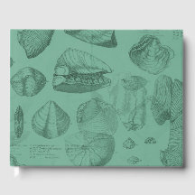 coleção de massas verdes