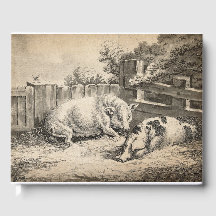 Dois porcos deitados com palha numa Caneta ao ar l