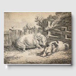 Livro De Visitas Dois porcos deitados com palha numa Caneta ao ar l