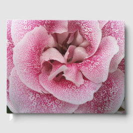 Livro De Visitas Dotty Sobre Você