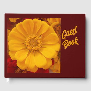Livro De Visitas Emmelina