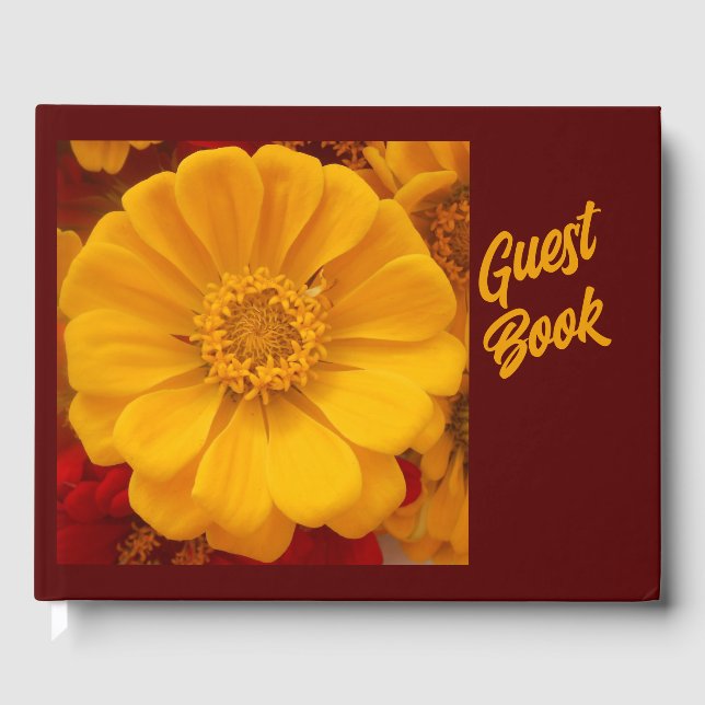 Livro De Visitas Emmelina (Frente)