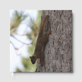 Livro De Visitas Esquilo para baixo