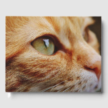 Face determinada de um gengibre