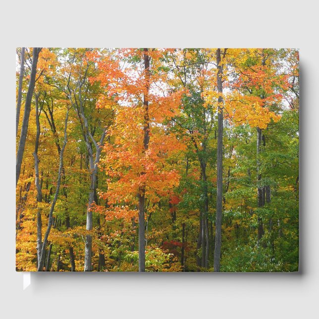 Livro De Visitas Fall Maple Trees Autumn Nature Fotografia (Frente)