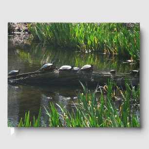 Livro De Visitas Fileira de Tartarugas Foto Verde