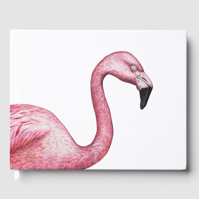 Livro De Visitas Flamingo (Frente)
