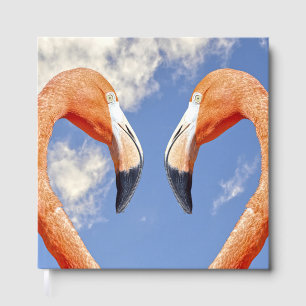 Livro De Visitas Flamingo caribenho amor coração