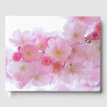 Flor de árvore de cereja japonesa