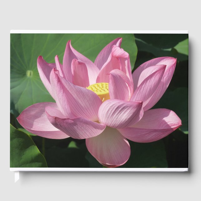 Livro De Visitas Flor de Lotus Rosa IV (Frente)