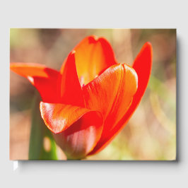 Livro De Visitas Flor de Tulipas Vermelhas