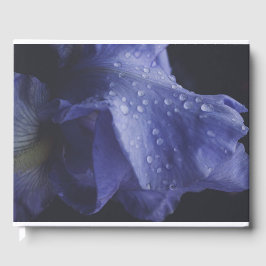 Livro De Visitas Flor Rosa púrpura