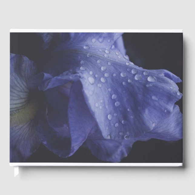 Livro De Visitas Flor Rosa púrpura (Frente)