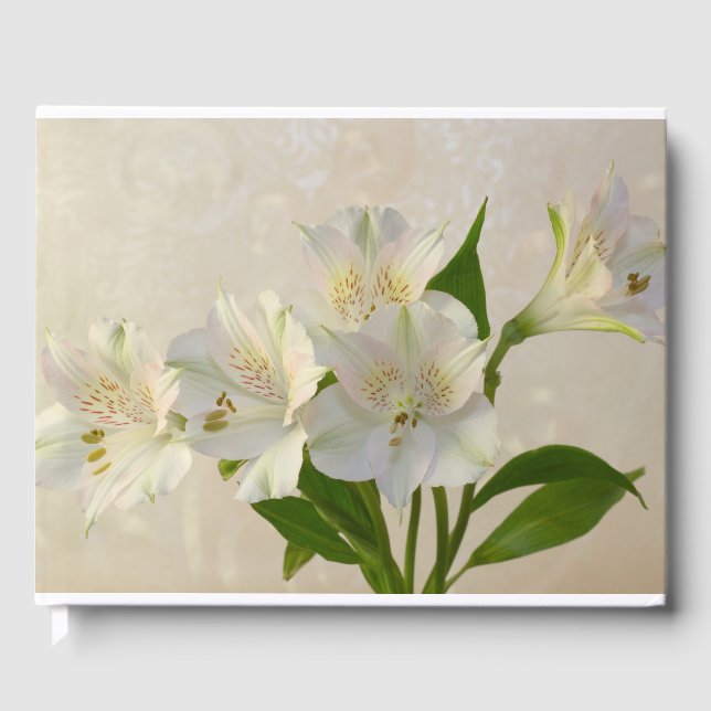 Livro De Visitas Flores Alstromeria Brancas (Frente)