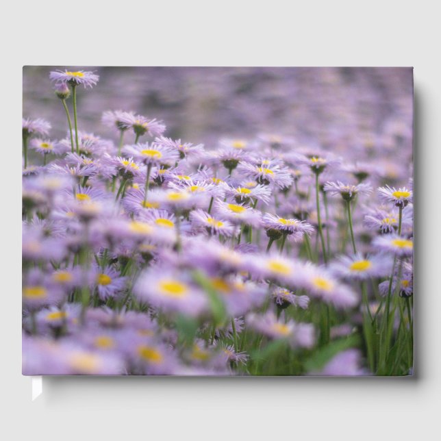 Livro De Visitas Flores de Aster Roxo (Frente)