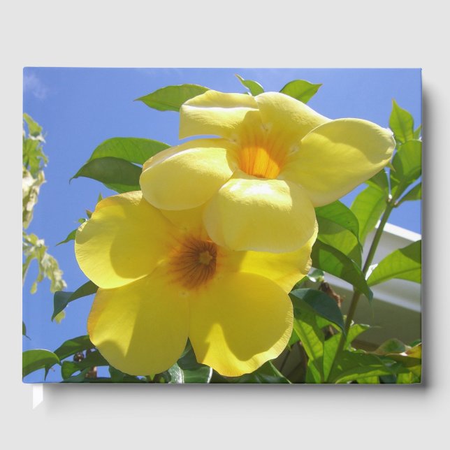 Livro De Visitas Flores de Trompetes do ouro I (Frente)