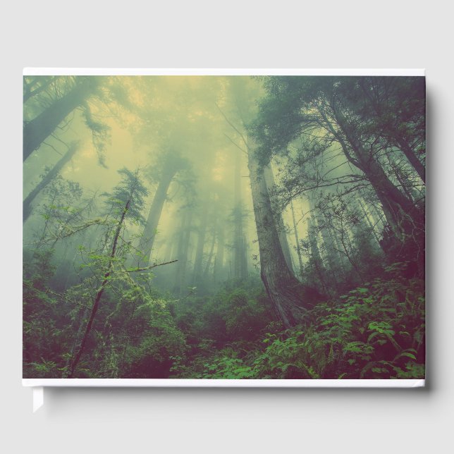 Livro De Visitas Floresta De Baixo (Frente)