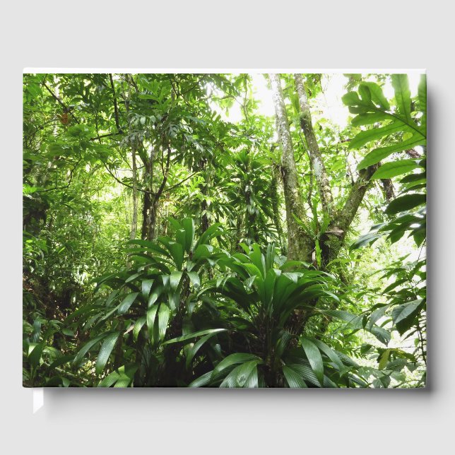 Livro De Visitas Floresta Dominicana I Natureza Verde Tropical (Frente)